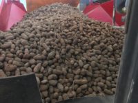 WhatsApp Image 2020-01-15 at 18.08.36 (1)