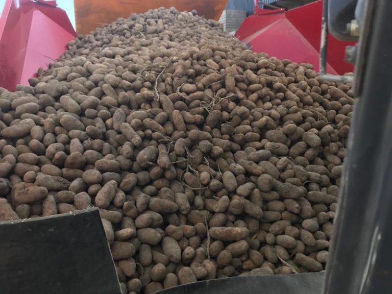 WhatsApp Image 2020-01-15 at 18.08.36 (1)