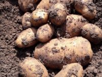 WhatsApp Image 2020-01-15 at 18.08.36 (14)