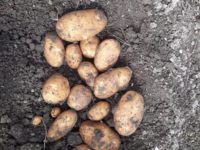 WhatsApp Image 2020-01-15 at 18.08.36 (15)