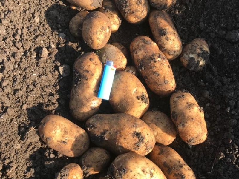 WhatsApp Image 2020-01-15 at 18.08.36 (18)