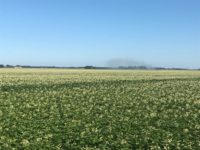 WhatsApp Image 2020-01-15 at 18.08.36