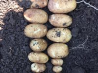 WhatsApp Image 2020-01-15 at 18.08.36 (3)