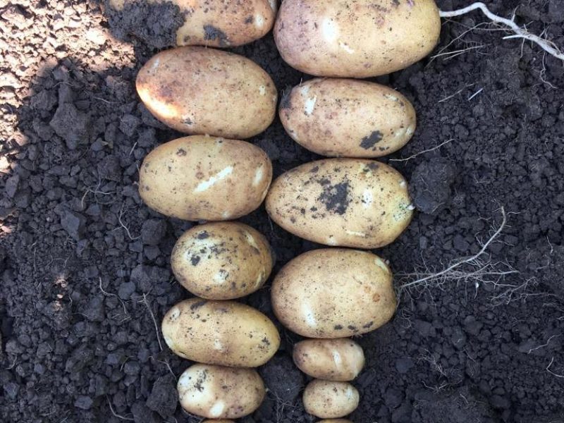 WhatsApp Image 2020-01-15 at 18.08.36 (3)