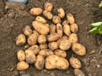 WhatsApp Image 2020-01-15 at 18.08.36 (4)