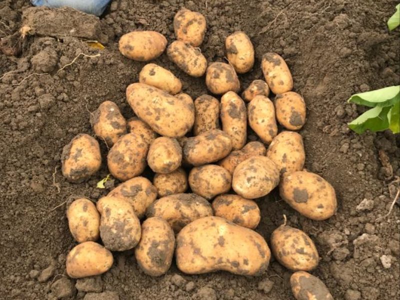 WhatsApp Image 2020-01-15 at 18.08.36 (4)