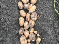 WhatsApp Image 2020-01-15 at 18.08.36 (8)