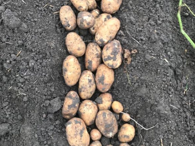 WhatsApp Image 2020-01-15 at 18.08.36 (8)