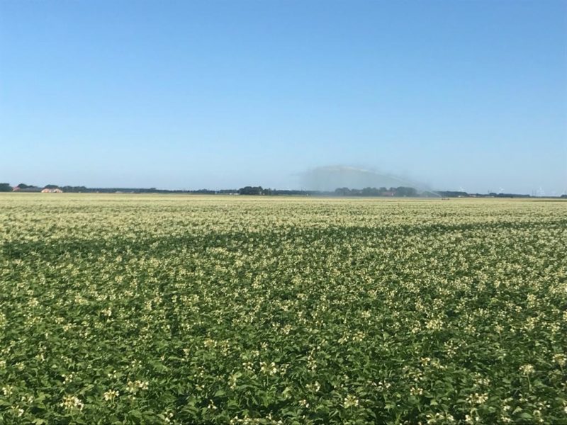 WhatsApp Image 2020-01-15 at 18.08.36