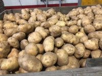 WhatsApp Image 2020-01-15 at 18.08.37 (1)