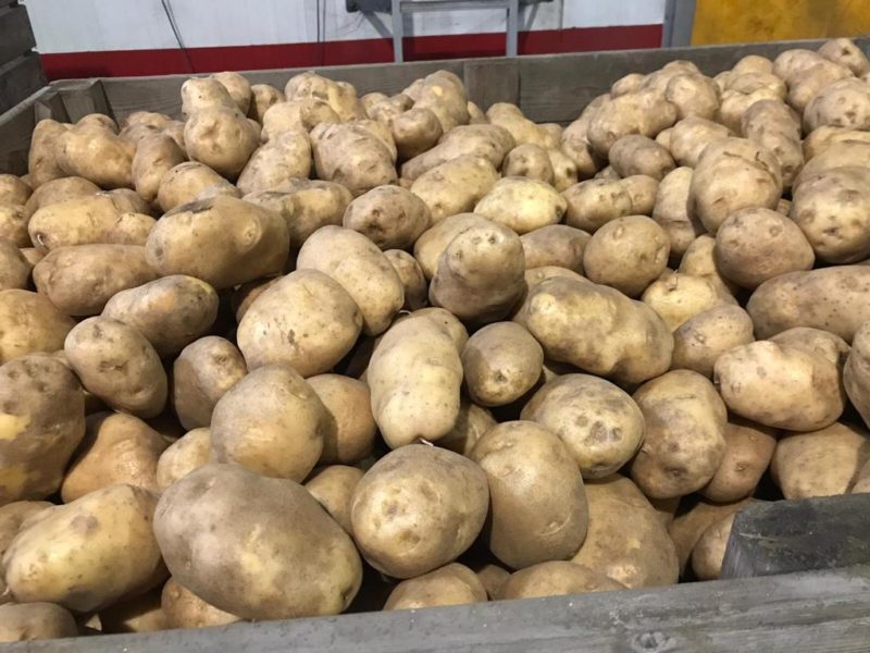 WhatsApp Image 2020-01-15 at 18.08.37 (1)