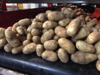 WhatsApp Image 2020-01-15 at 18.08.37