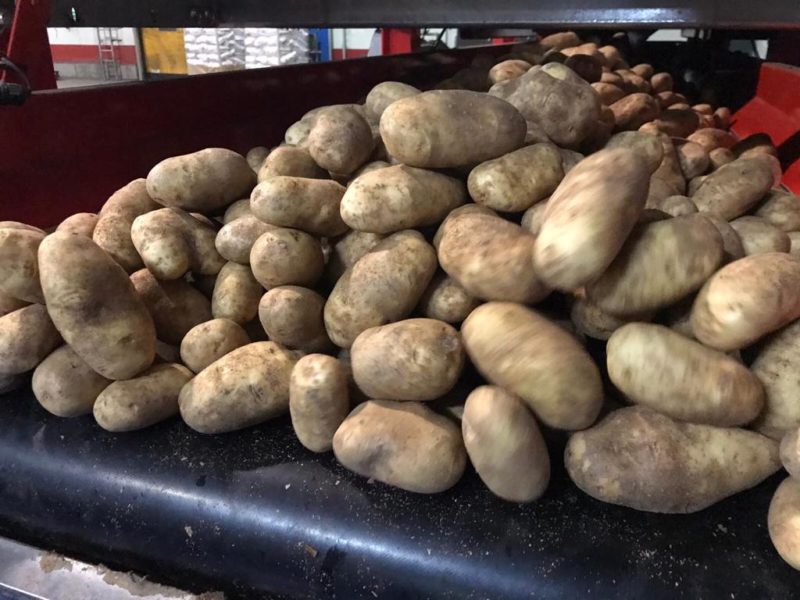 WhatsApp Image 2020-01-15 at 18.08.37