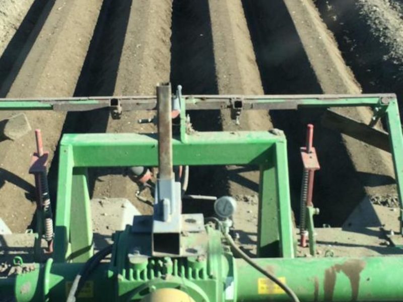 WhatsApp Image 2020-01-15 at 18.19.11 (10)