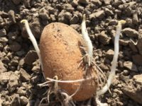 WhatsApp Image 2020-01-15 at 18.19.11 (11)