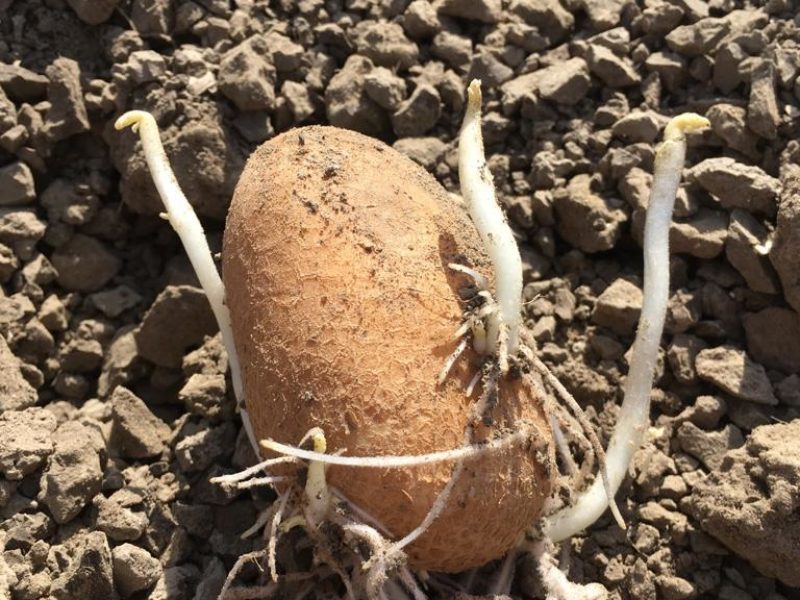 WhatsApp Image 2020-01-15 at 18.19.11 (11)