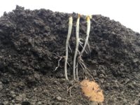 WhatsApp Image 2020-01-15 at 18.19.11 (12)