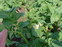 WhatsApp Image 2020-01-15 at 18.19.11 (14)