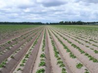 WhatsApp Image 2020-01-15 at 18.19.11 (15)