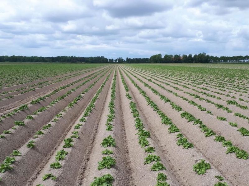 WhatsApp Image 2020-01-15 at 18.19.11 (15)