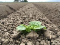 WhatsApp Image 2020-01-15 at 18.19.11 (16)