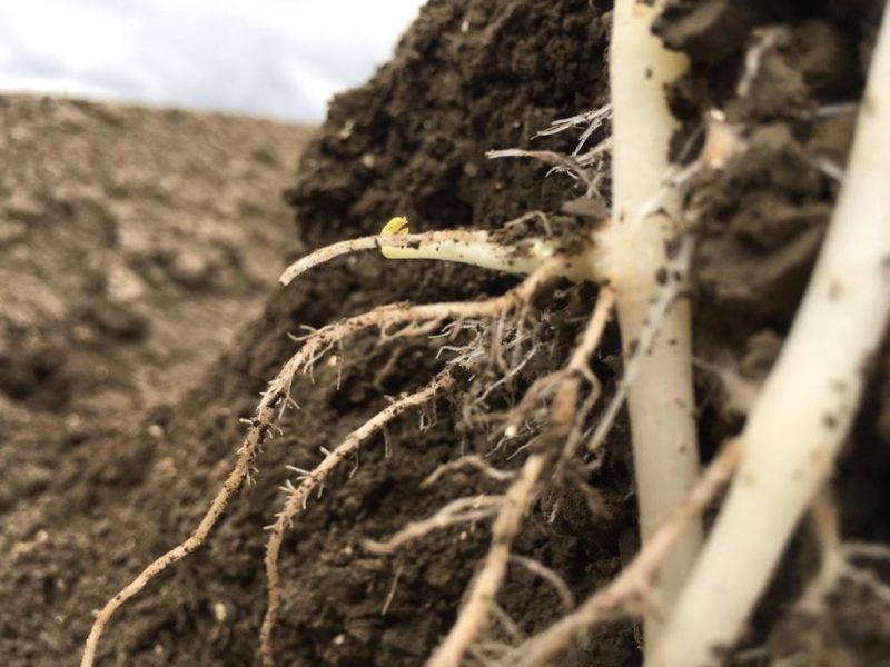 WhatsApp Image 2020-01-15 at 18.19.11 (17)