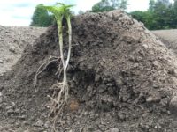 WhatsApp Image 2020-01-15 at 18.19.11 (18)