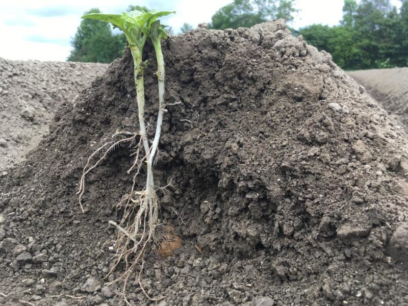 WhatsApp Image 2020-01-15 at 18.19.11 (18)