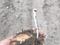 WhatsApp Image 2020-01-15 at 18.19.11 (7)