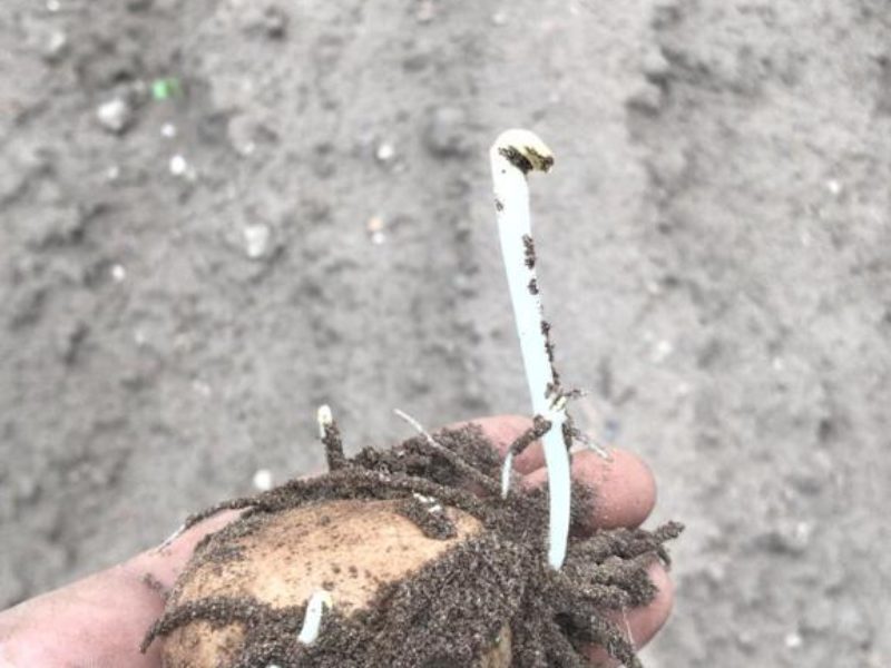 WhatsApp Image 2020-01-15 at 18.19.11 (7)