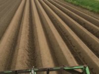 WhatsApp Image 2020-01-15 at 18.19.11 (8)