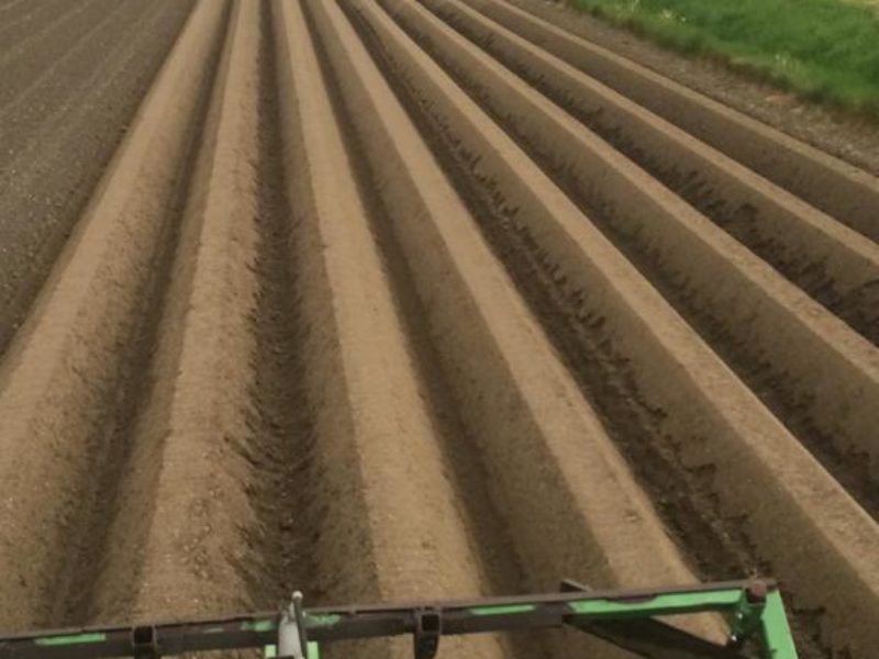 WhatsApp Image 2020-01-15 at 18.19.11 (8)