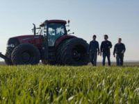 WhatsApp Image 2020-01-15 at 18.19.11 (9)