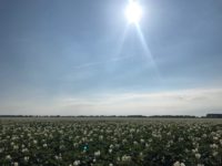 WhatsApp Image 2020-01-15 at 18.19.12 (1)