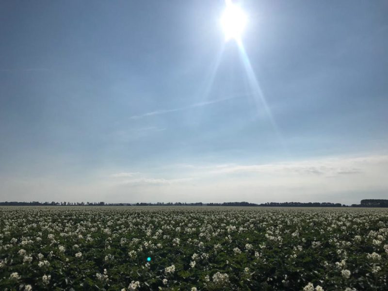 WhatsApp Image 2020-01-15 at 18.19.12 (1)