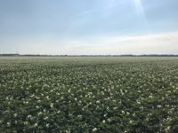 WhatsApp Image 2020-01-15 at 18.19.12 (2)