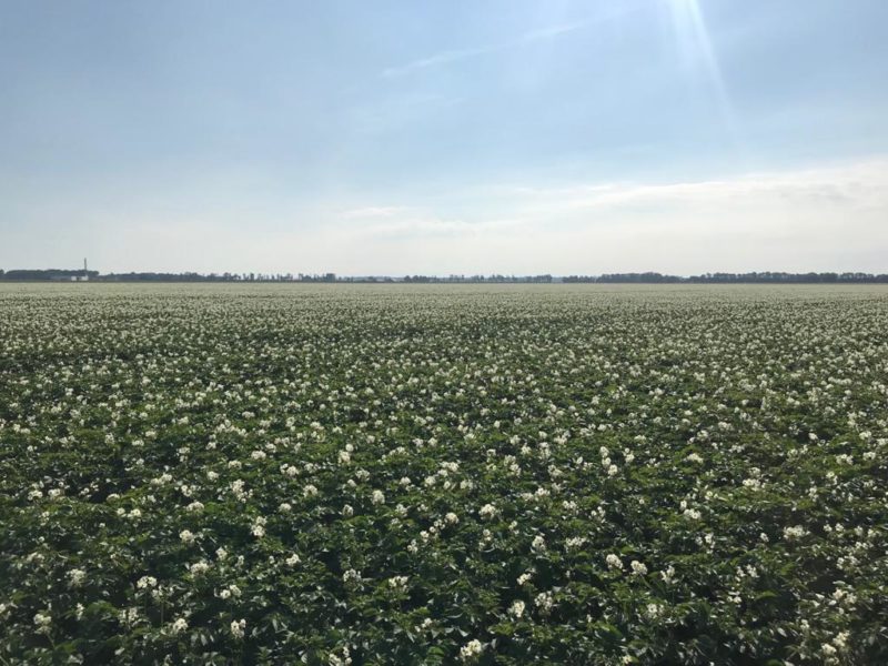 WhatsApp Image 2020-01-15 at 18.19.12 (2)