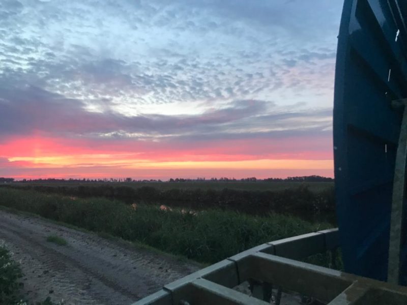 WhatsApp Image 2020-01-15 at 18.19.12 (4)