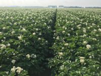 WhatsApp Image 2020-01-15 at 18.19.12 (5)