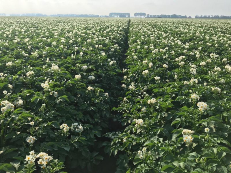 WhatsApp Image 2020-01-15 at 18.19.12 (5)