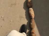 WhatsApp Image 2020-01-15 at 18.19.12 (6)