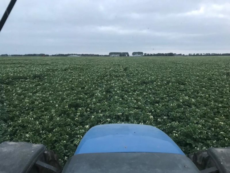 WhatsApp Image 2020-01-15 at 18.19.13