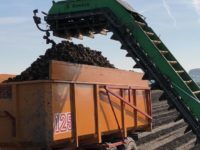 WhatsApp Image 2020-01-15 at 18.33.19 (10)