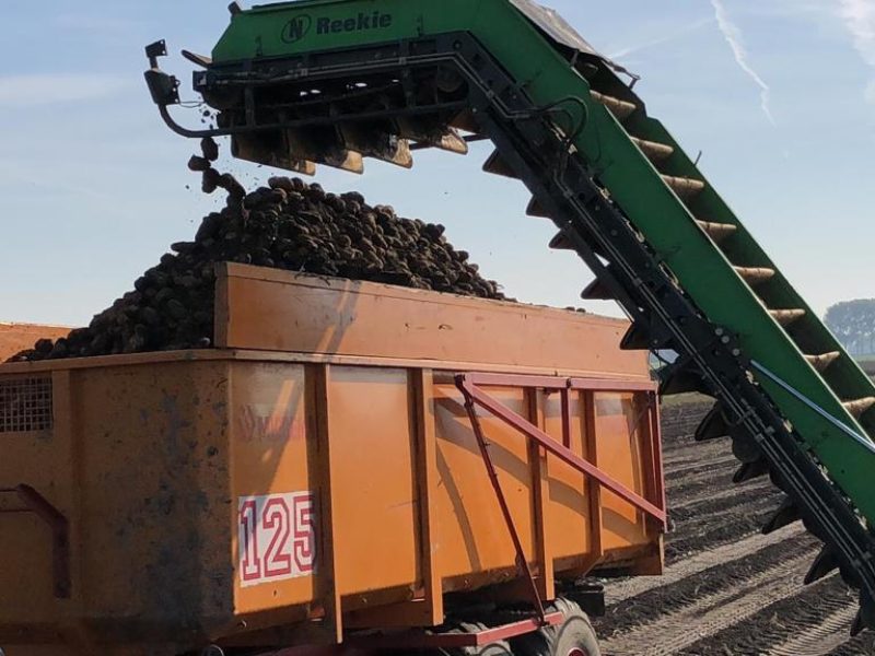 WhatsApp Image 2020-01-15 at 18.33.19 (10)