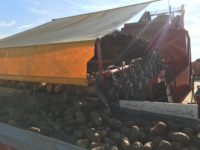 WhatsApp Image 2020-01-15 at 18.33.19 (14)