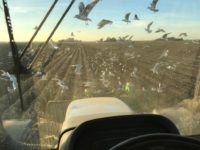 WhatsApp Image 2020-01-15 at 18.33.19 (15)