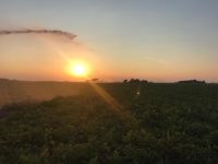 WhatsApp Image 2020-01-15 at 18.33.19