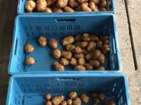 WhatsApp Image 2020-01-15 at 18.33.19 (6)