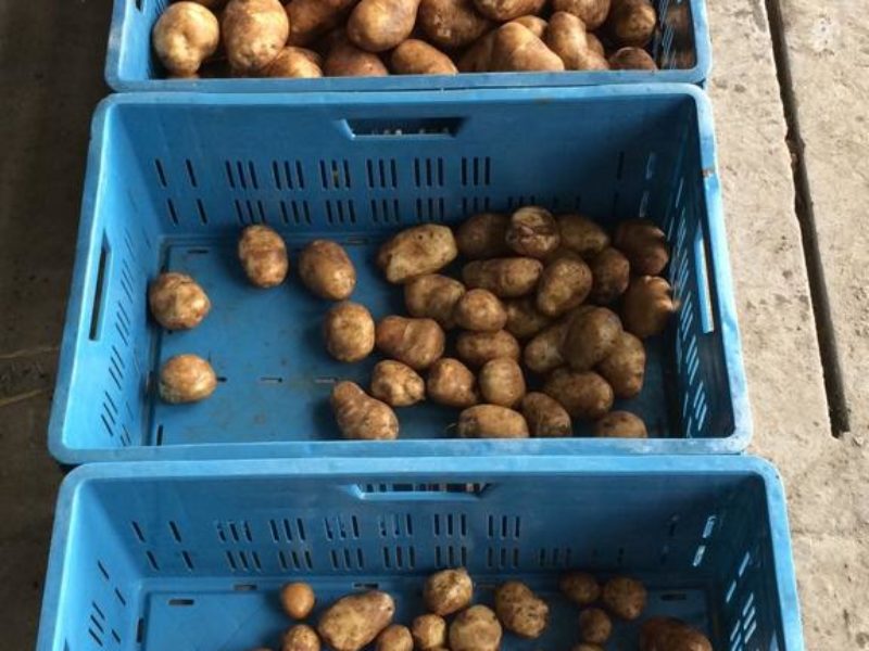 WhatsApp Image 2020-01-15 at 18.33.19 (6)