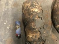 WhatsApp Image 2020-01-15 at 18.33.19 (9)